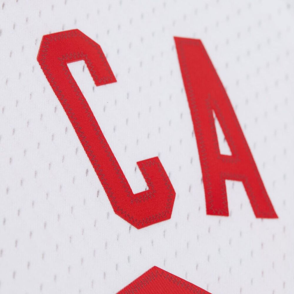 New Jersey Nets Vince Carter 2005-06 NBA Swingman Jersey - Mitchell & Ness