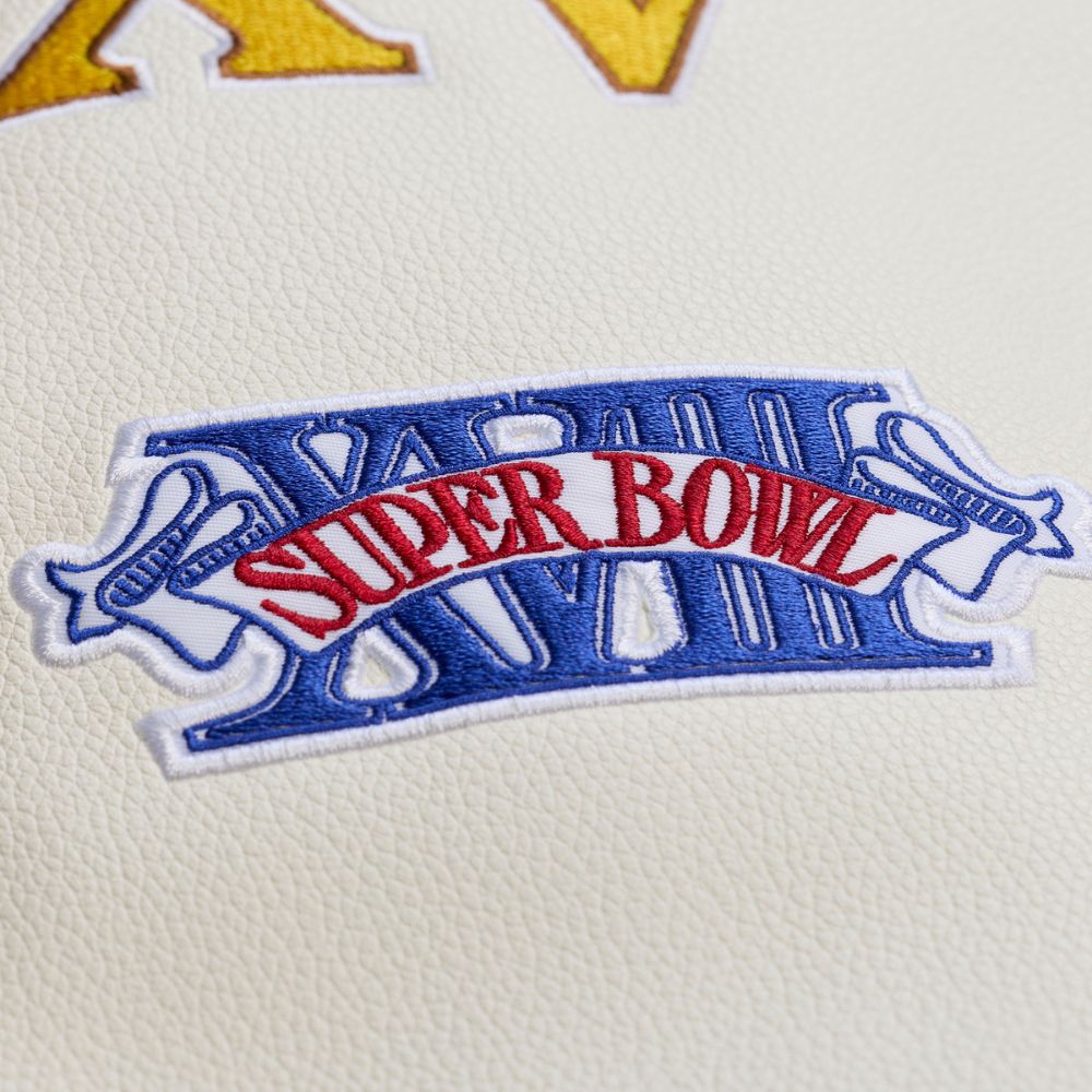 Las Vegas Raiders Dusted Varsity NFL Jacke - Mitchell & Ness