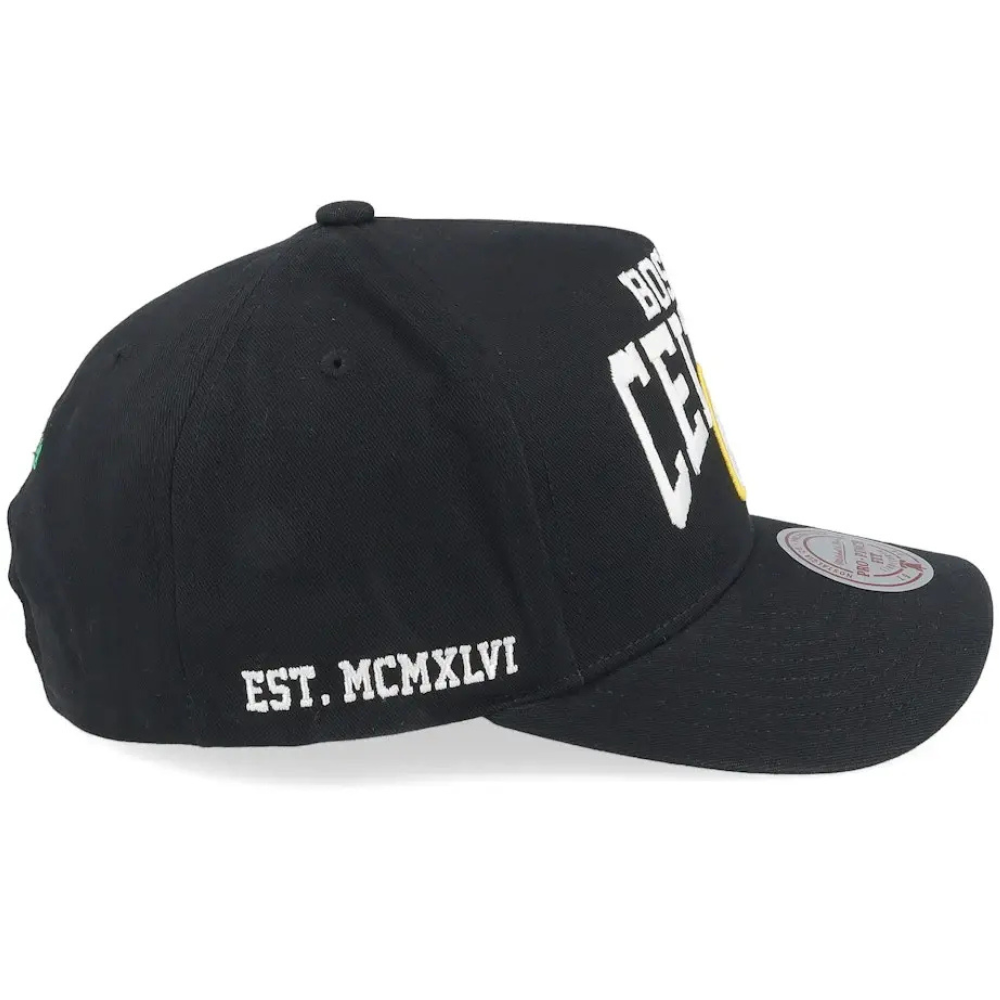 Boston Celtics Hardwood Classics Big Time Pro Snapback Hat Mitchell & Ness