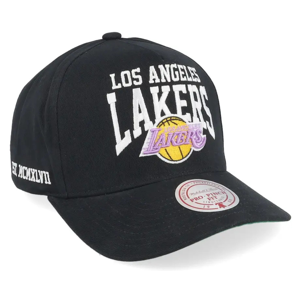 Los Angeles Lakers Vintage Big Time Pro Snapback Hat Mitchell & Ness